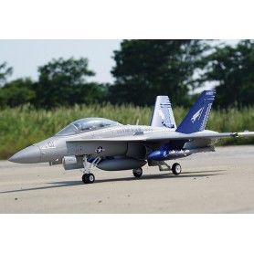 FMS F/A-18 / E-Flite F-18 80mm EDF Jet